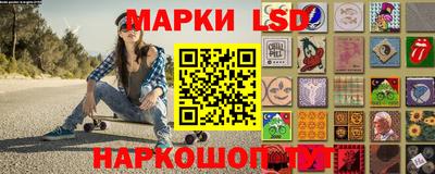 тгк Кингисепп
