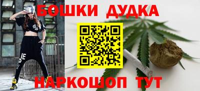 тгк Кингисепп