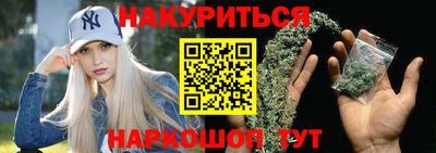 тгк Кингисепп