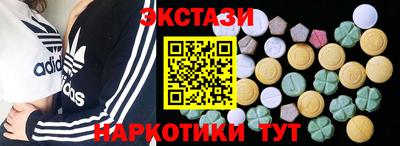 тгк Кингисепп