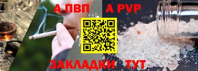 тгк Кингисепп