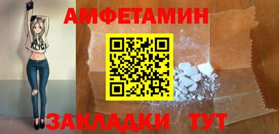 тгк Кингисепп