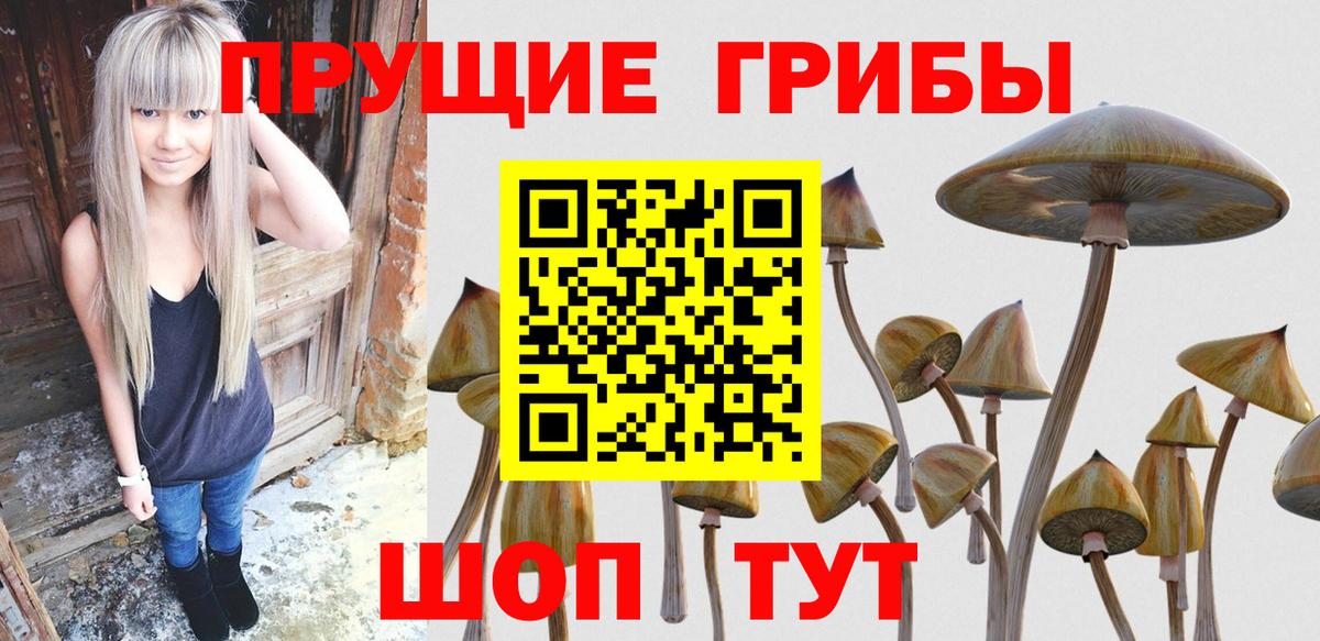 Псилоцибиновые грибы Magic Shrooms  Вход с VPN  Псилоцибиновые грибы MAGIC MUSHROOMS  Усинск 
